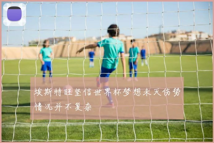 埃斯特旺坚信世界杯梦想未灭伤势情况并不复杂