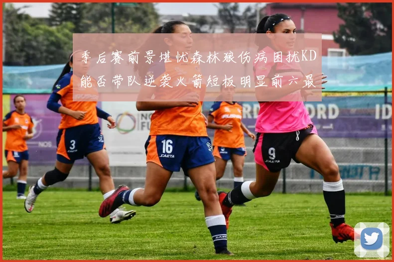 季后赛前景堪忧森林狼伤病困扰KD能否带队逆袭火箭短板明显前六最弱球队分析