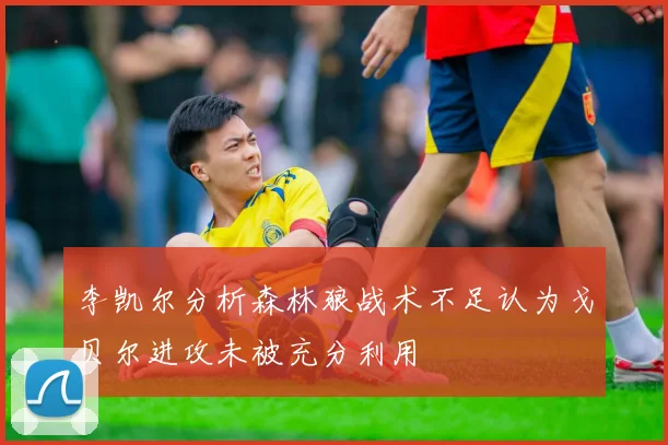 李凯尔分析森林狼战术不足认为戈贝尔进攻未被充分利用