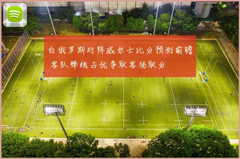 白俄罗斯对阵威尔士比分预测前瞻 客队锋线占优争取客场取分
