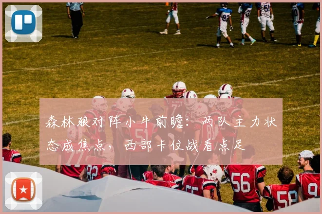 森林狼对阵小牛前瞻：两队主力状态成焦点，西部卡位战看点足