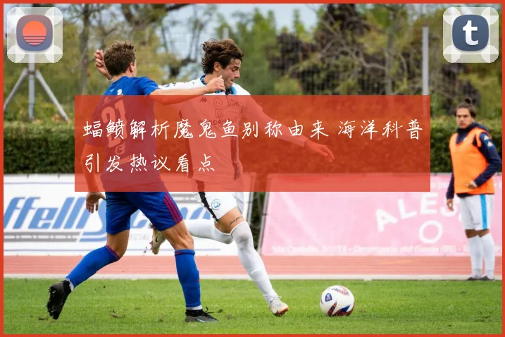 蝠鲼解析魔鬼鱼别称由来 海洋科普引发热议看点