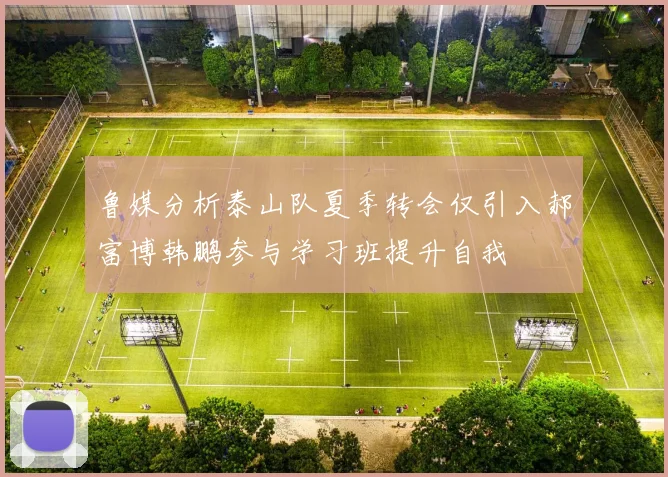 鲁媒分析泰山队夏季转会仅引入郝富博韩鹏参与学习班提升自我